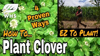 Best Way to Plant Clover [upl. by Merkley]