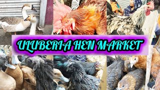 uluberia hen market4125birds ulberia [upl. by Rhetta]