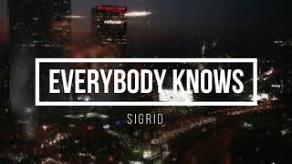 Everybody knows  Sigrid  1 hour [upl. by Sharon]