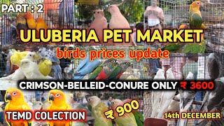 ULUBERIA PET MARKET BIRDS PRICES UPDATE ON 14th DECEMBER PART 2 uluberiapetmarket cheapestprice [upl. by Flagler]