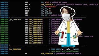 Reverse Engineering  Fun with ransomware and Ida Pro [upl. by Anir]