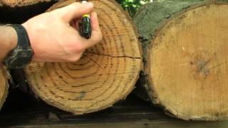 How to Identify Grain Direction in wood [upl. by Hertha]