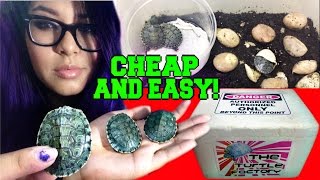 DIY homemade turtle egg incubator that works [upl. by Zere]