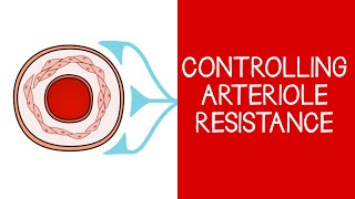 43 Cardiovascular Controlling Arteriole Resistance [upl. by Aneeles895]