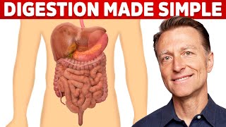 Your Digestive System Explained in Simple Terms [upl. by Alana]