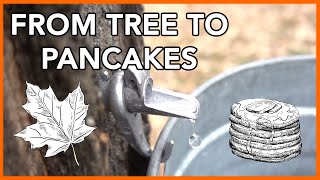 Making Maple Syrup at Home Start to Finish [upl. by Pruter]