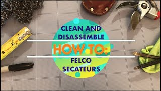 How To Clean and Disassemble Felco Secateurs [upl. by Autumn]