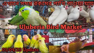 Uluberia Pet Market 010423 Uluberia Birds Market [upl. by Alihs333]