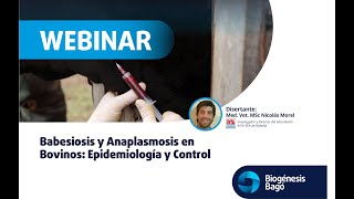 Babesiosis y Anaplasmosis en Bovinos Epidemiologia y Control  Webinar  Biogénesis Bagó [upl. by Esnahc775]