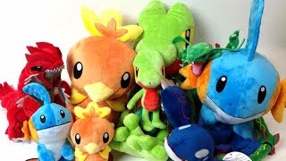 Pokemon Center Lifesize Mudkip Torchic Treecko Plush Legendary Rayquaza Groudon amp MORE [upl. by Rad]