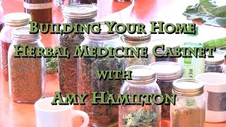 Building Your Home Herbal Medicine Cabinet with Amy Hamilton [upl. by Mccourt]