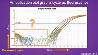 Baselines in RealTime PCR  Ask TaqMan® Ep 5 [upl. by Anilev167]