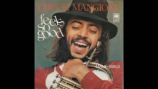 Chuck Mangione  Feels So Good Special Edited Version 1977 HQ [upl. by Eerot959]