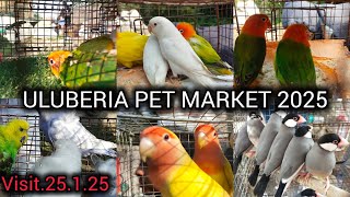 uluberia pet marketcheapest uluberiabirdmarket 25125 [upl. by Aryc]