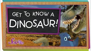 Get to Know a Dinosaur [upl. by Werda]