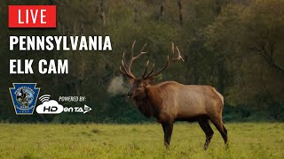 Pennsylvania Elk Cam Live [upl. by Sivla200]