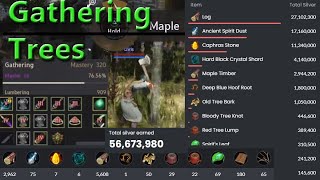 BDO Gathering Logs 900 Mastery [upl. by Magas]