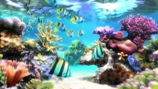 Sim Aquarium  Screensaver amp Live Wallpaper  SimAquariumcom [upl. by Adnalram]