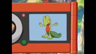 Treecko Pokédex Entry [upl. by Anerys]