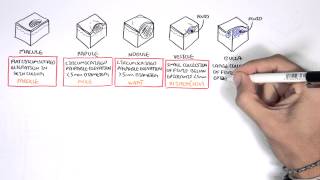 Dermatology  Lesion Terminology [upl. by Link671]