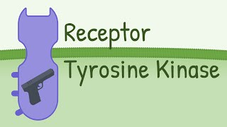 Receptor Tyrosine Kinase  MAPK Pathway [upl. by Searle]