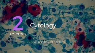 Cytology [upl. by Cottrell]