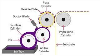 Flexographic Printing Explained [upl. by Ysabel783]