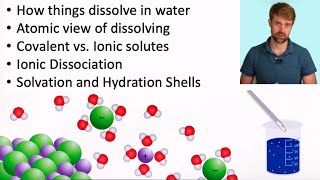 Aqueous Solutions Dissolving and Solvation [upl. by Aundrea]