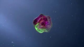 Flow Cytometry Animation [upl. by Kentigerma]