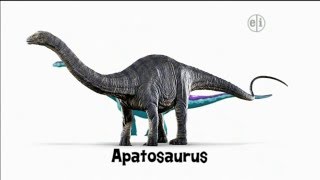 Dinosaur Discoveries Apatosaurus [upl. by Ocinemod]