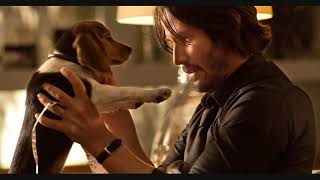 Your Obligatory Movie Podcast  Ep 8  JOHN WICK 2014 [upl. by Lashonda]