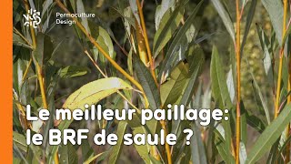 Le meilleur paillage le BRF de saule [upl. by Hartzel]