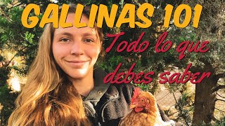 Gallinas Para Principiantes  Cuidados Alimentación Consejos [upl. by Aillicirp210]