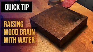 Raising Wood Grain with Water [upl. by Iorio]