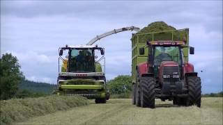 Silage Mean and GreenIreland [upl. by Golub]