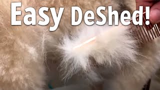 Easiest way to DESHED Any DOG at Home [upl. by Alfonse520]