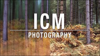 ICM Photography Tutorial – Intentional Camera Movement [upl. by Nnylorac]