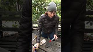 Karen Sutherland demonstrates how to sharpening secateurs [upl. by Nomyaw]