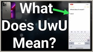 What Does UwU Mean [upl. by Eradis]