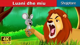 Luani dhe miu  Lion and The Mouse in Albanian  AlbanianFairyTales [upl. by Nnaylrebmik]