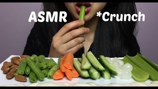 ASMR Extreme Satisfying Crunch EATING SOUND NO TALKING  SAS ASMR [upl. by Eneloj]