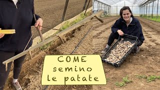 COME SEMINARE LE PATATE [upl. by Thilde402]