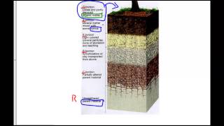 Soil Horizons Explained [upl. by Swaine783]