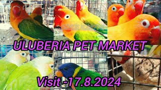 ULUBERIA PET MARKET birds lovebirds [upl. by Burbank]