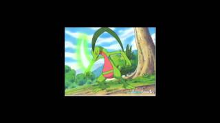 Treeko Evolves into Grovyle [upl. by Anitsua554]