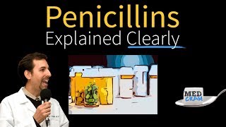 Penicillins  Antibiotics Explained Clearly [upl. by Arytal350]