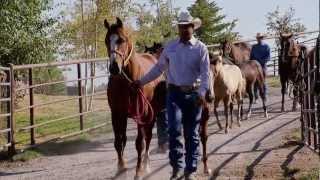 Montana Horse Ranch  Americas Heartland [upl. by Siulesoj660]