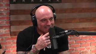 Joe Rogan on Catholic Priest Scandals [upl. by Dav]