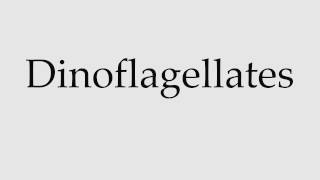 How to Pronounce Dinoflagellates [upl. by Niltag]