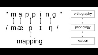 Orthographic mapping explainer [upl. by Cannon736]